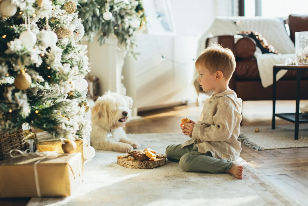 5 Tips for Co-Parenting During the Holidays